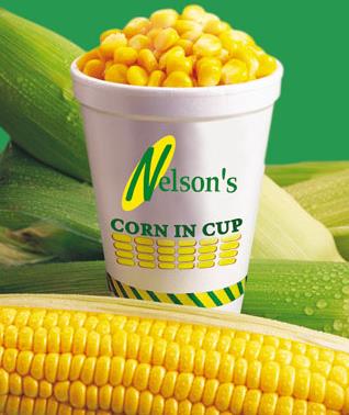 <p><b>Kanserle savar: </b></p>    Akcier kanseri riskini azaltan antioksidan zelliklere sahip karotenoid ierir 8 yl boyunca msr yiyen kiilerin kanser olma riskinin % 27 azald izlendi. Yardmc gdalar, papaya, kabak, portakal, krmz biber ve eftalidir. Sindirim sistemini salkl tutar ve kolon kanserini nleyicidir.