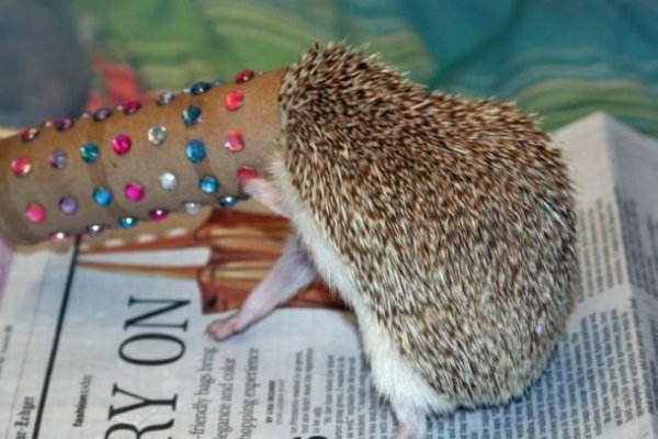 Bu kareler artyor...