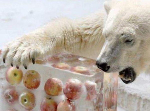 Bu kareler artyor...