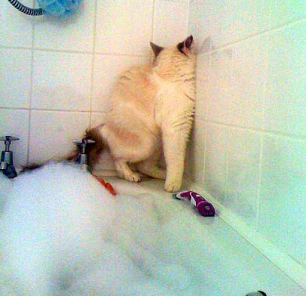 Bu kareler artyor...