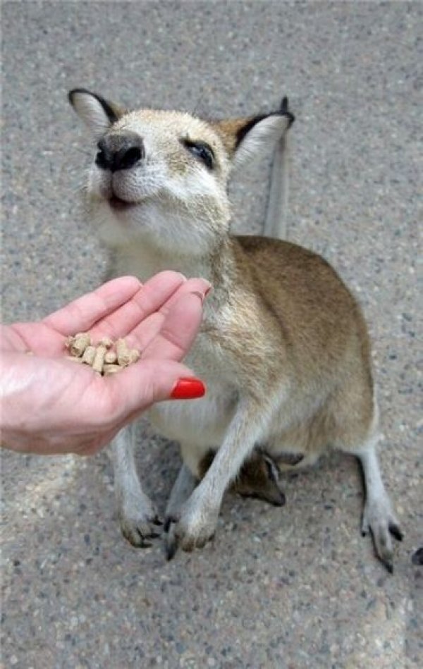 Bu kareler artyor...