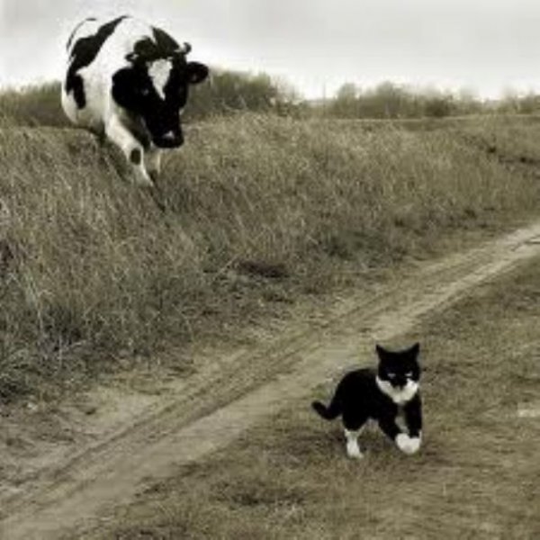 Bu kareler artyor...