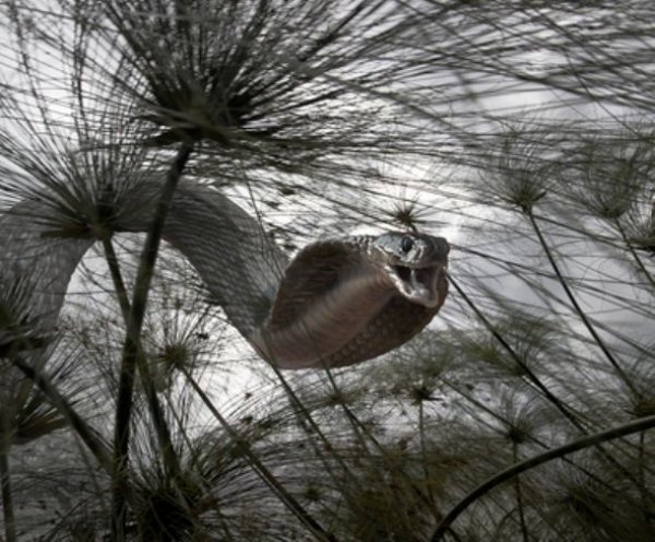 Bu kareler artyor...