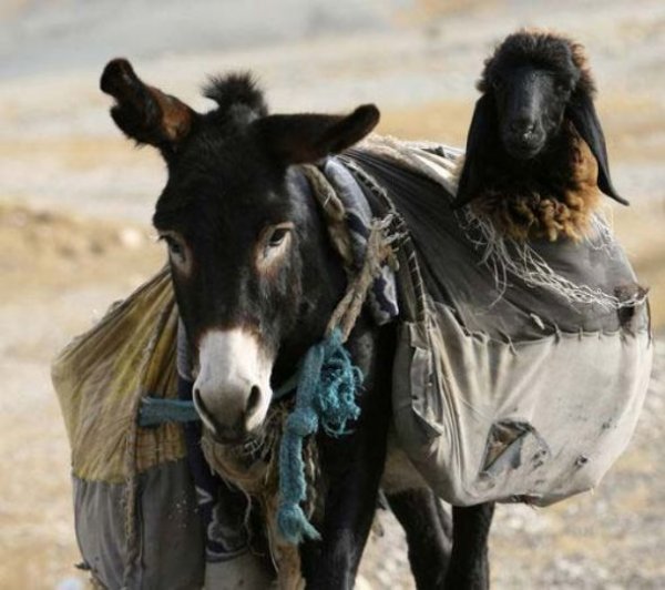 Bu kareler artyor...