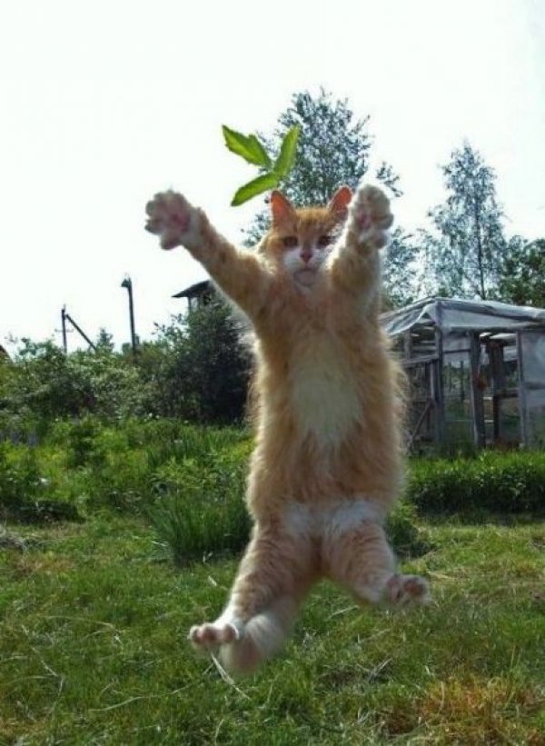 Bu kareler artyor...