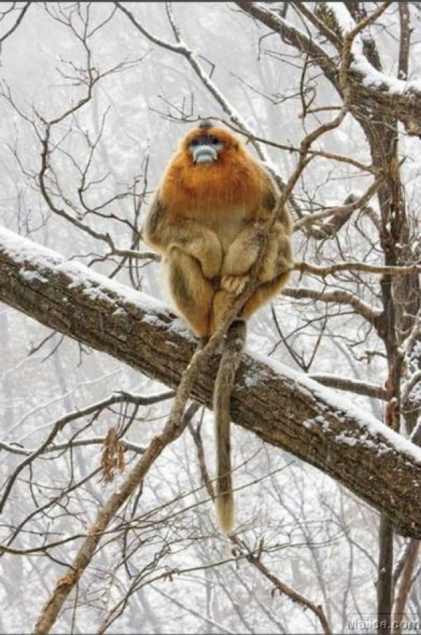 Bu kareler artyor...