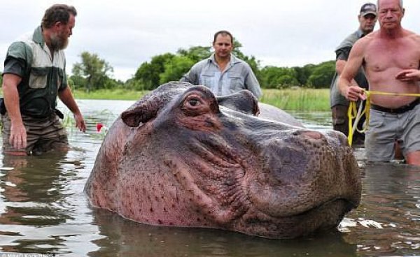 Bu kareler artyor...
