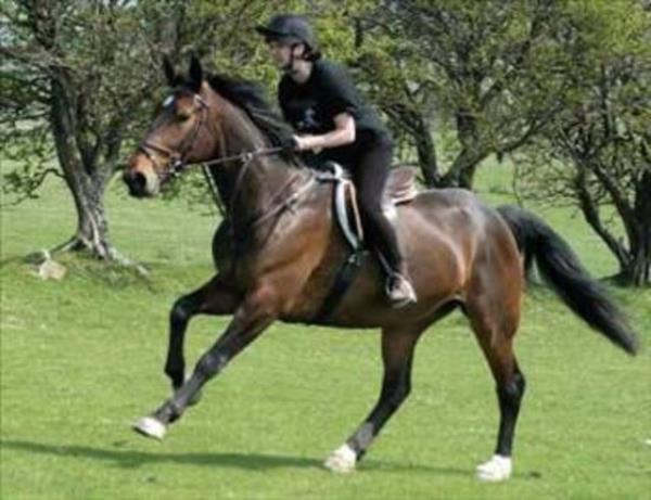 Ata binerken, sol dizin alt�na kadar inen bu uzun k�l��la ata sa�dan binmek, k�l�� nedeni ile zor oluyordu. Soldan, sol aya�� �zengi �zerine koyup, sa� aya�� at�n �zerine atarak binince k�l�� sorun yaratm�yordu.