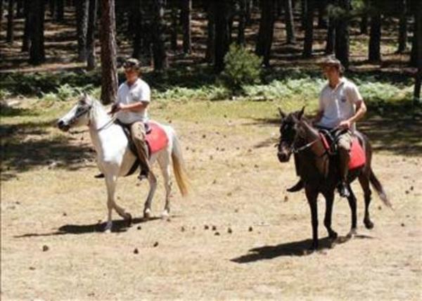 �zellikle sava�a giden ordularda disiplin nedeni ile bir �rnek hareket edilmesi gerekti�inden, solaklar da ata soldan binmek zorunda kal�yorlard�.Art�k biniciler k�l�� ta��m�yorlarsa da, ata soldan binmek g�n�m�ze kadar uzanan bir gelenek haline geldi.