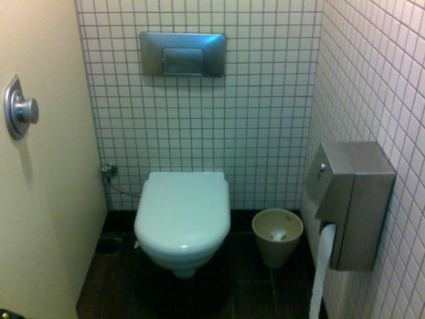 tuvalet kullan�m al��kanl���; �e�itli evrelerden ge�erek son olarak 1849 y�l�nda 'U' �eklinde bir borunun, k�t� kokuyu �nlemek amac�yla, tuvalet ��k���na monte edilmesiyle bug�nk�ne en yak�n halini alm��t�r.