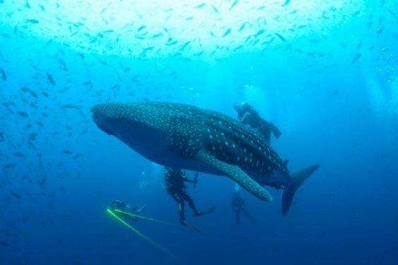 te fotoraflarn objektiflerine taklan muhteem doa kareleri...