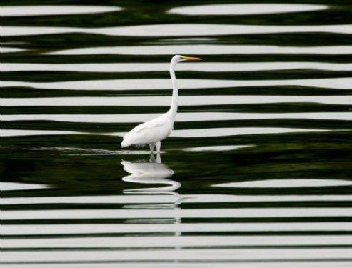 te fotoraflarn objektiflerine taklan muhteem doa kareleri...