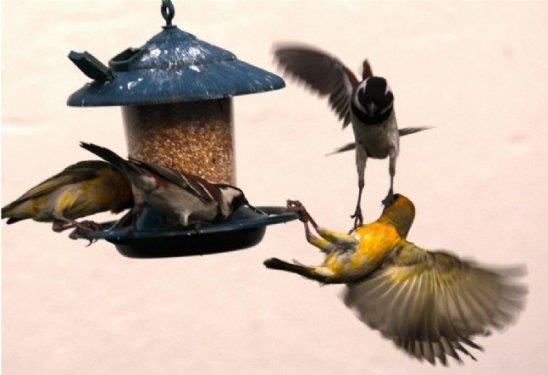 te fotoraflarn objektiflerine taklan muhteem doa kareleri...