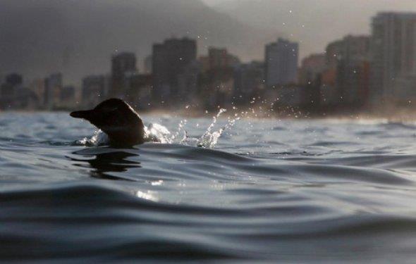 te fotoraflarn objektiflerine taklan muhteem doa kareleri...