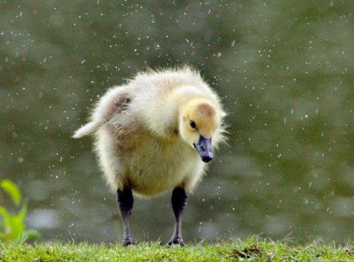 te fotoraflarn objektiflerine taklan muhteem doa kareleri...