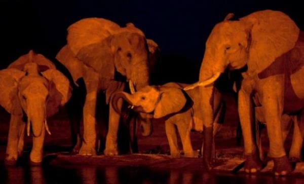 te fotoraflarn objektiflerine taklan muhteem doa kareleri...