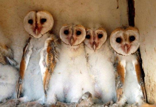 te fotoraflarn objektiflerine taklan muhteem doa kareleri...