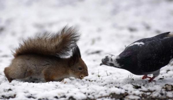 te fotoraflarn objektiflerine taklan muhteem doa kareleri...