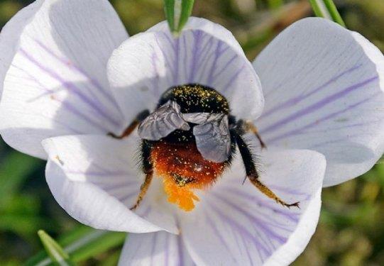 te fotoraflarn objektiflerine taklan muhteem doa kareleri...
