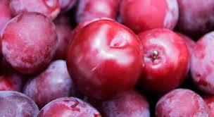 Beynin hafza kapasitesini gelitirir.