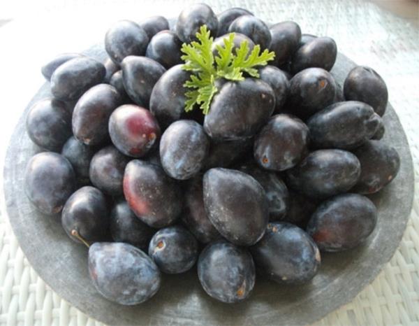 Menopoz sonras kadnlar zerine yaplan bir almada; bir gruba 100 g erik (yaklak 10 adet), dier gruba ise 100 g kuru elma bununla birlikte her iki gruba da D vitamini ve kalsiyum suplemanlar verilmi.