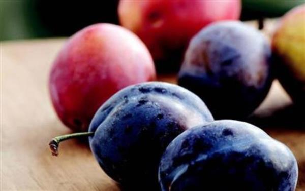 Erik alan grupta n kol ve omurgada daha yksek kemik mineral younluu gzlenmitir.