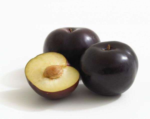 Krmz/mor erik ayn zamanda lif (tanesi bana 1 g kadar) ve doal bir laksatif olan dihidroksifenil izatini ierir.