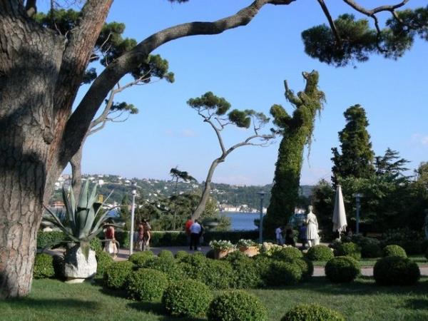 <b>Sakp Sabanc Mzesi</b>