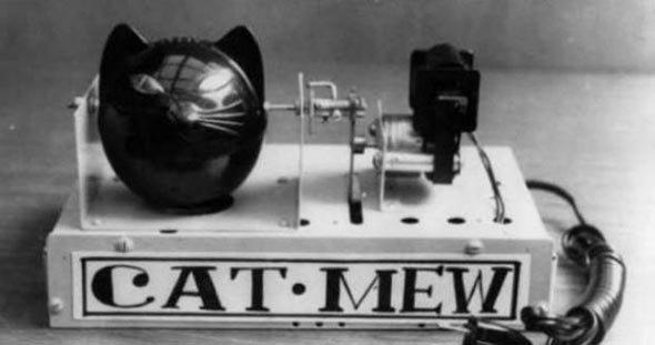 Evdeki fareden kurtulmak iin kedi beslemeye yanamyorsanz kedi sesi karan bu cihaz deneyebilirsiniz!