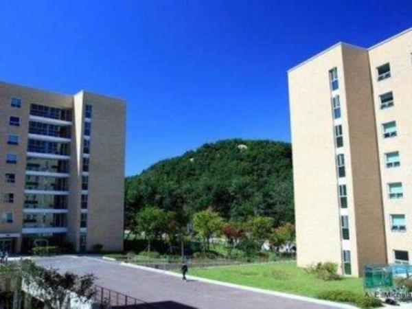 <br><b>Gney Kore </b></br>  <br>Seul Ulusal niversitesi </br>  <br>Dnya sralamas: 24</br>