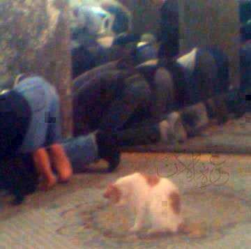 Sosyal medyada paylam rekoru kran kareler...