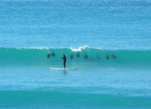 Sosyal medyada paylam rekoru kran kareler...