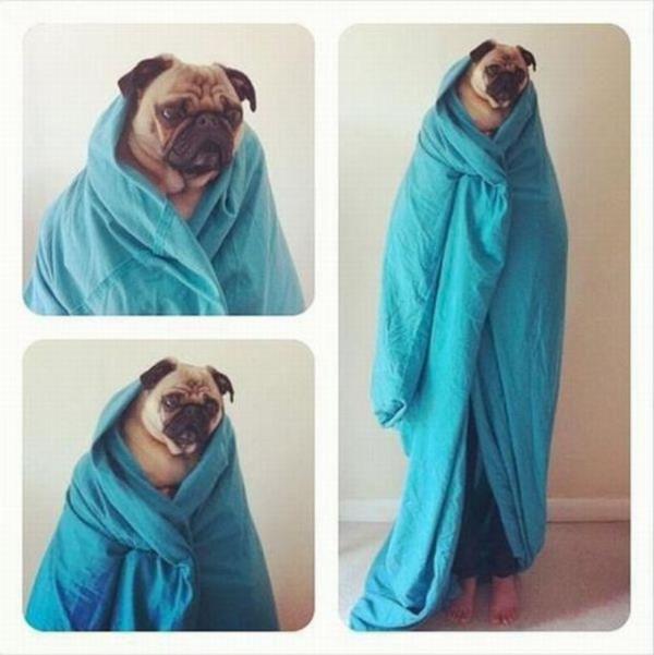 Sosyal medyada paylam rekoru kran kareler...