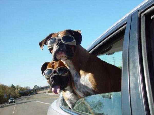 Sosyal medyada paylam rekoru kran kareler...