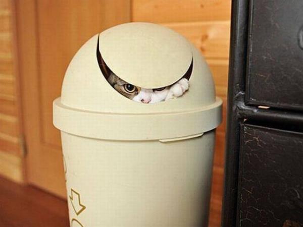 Sosyal medyada paylam rekoru kran kareler...