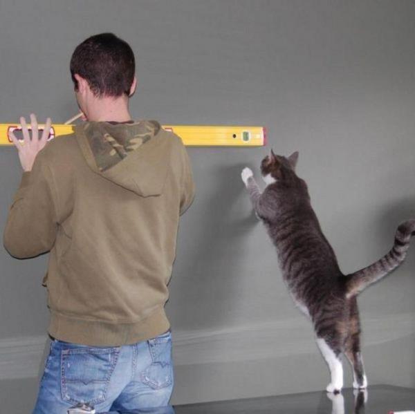 Sosyal medyada paylam rekoru kran kareler...