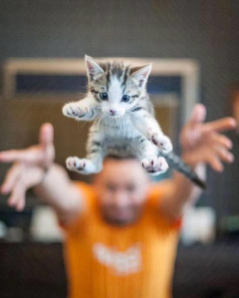 Sosyal medyada paylam rekoru kran kareler...