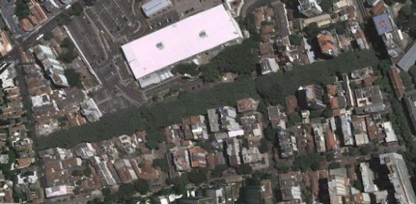 Baz yerlilere ise bu aalarn 1930'larda Alman iiler tarafndan dikilmi olduunu sylyor...