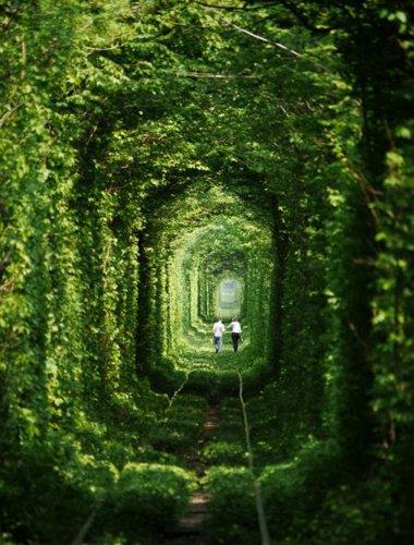 Romantik bir gn geirmek isteyenler yeeren aalarn tren toluna sarkmasyla oluan esiz grnt iin buraya geliyor.