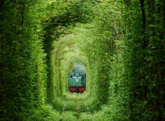 Aalarn arasndan giden demir yolu, zellikle ilkbaharda aalarn yeillerle kaplanmasyla bambaka bir gzellie kavuuyor.