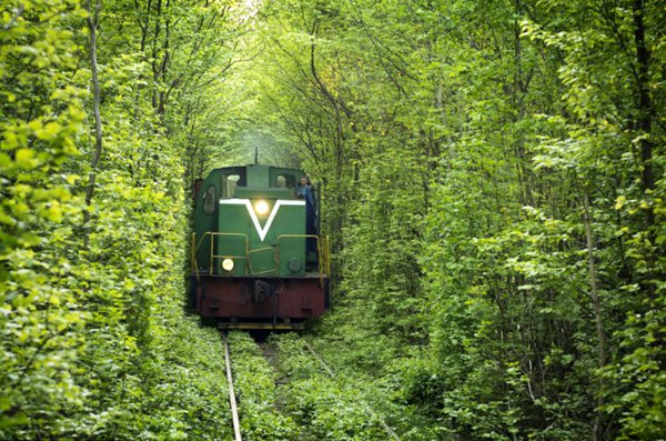 zel mlkiyete ait demir yolu, Klevan ehri yaknlarndaki kereste fabrikasna gnde  defa yk tanmasnda kullanlyor.