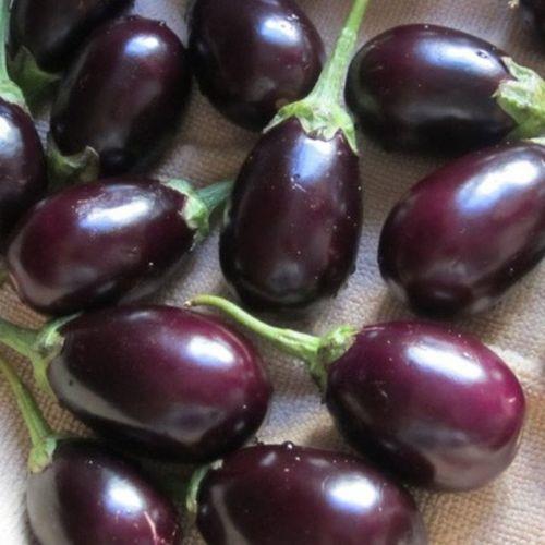 i yenildiinde zehirlenmelere sebep oluyor.