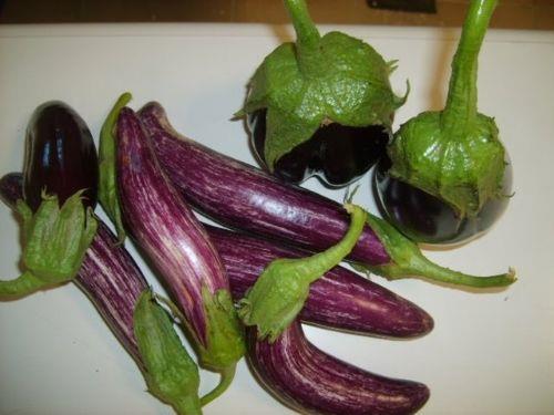 Patlcan, damarlar yksek kolesteroln yaratt kt etkilerden koruyor.