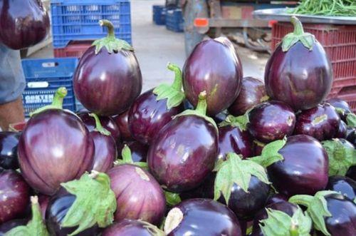 Patlcan lifli bir sebzedir.