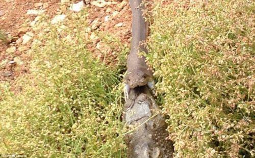 <b>te o anlardan inanlmaz fotoraflar... </b>