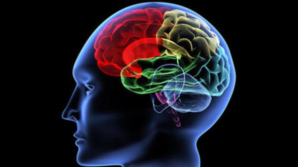 <b>Neden kaynaklanr?</b>