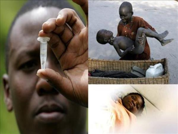 Genelde tropik ve yar-tropik iklim kuanda grlyor.