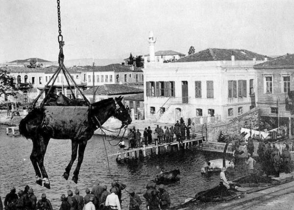16. Bir atn nakledilmesi    Avusturya-Macaristan ordusuna ait ekipmanlar anakkale'de indiriliyor.