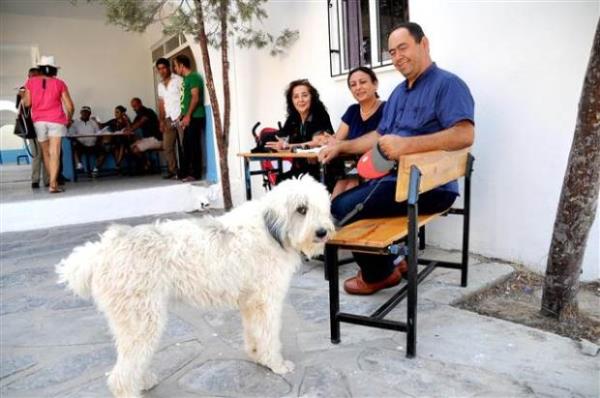 Bodrum'da oy kullanacak mahalle sakinleri Trkkuyusu Mahallesi muhtar Bahattin Akn'a antadan bebek arabasna hatta kpee kadar ok sayda eya emanet etti.