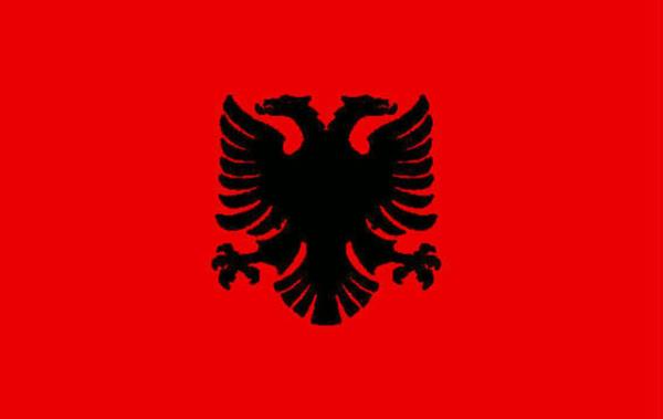 <p><b>ARNAVUTLUK </b></p>    <br>Recep Tayyip Erdoan: 35,81 % - 53 </br>  <br>Ekmeleddin Mehmet hsanolu: 61,49 % - 91</br>  <br>Selahattin Demirta: 2,70% - 4</br>